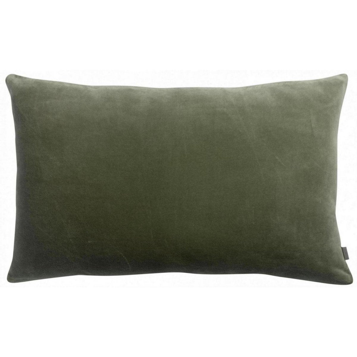 Coussin en velours de coton Elise, couleur Verveine, 40 × 65 cm
