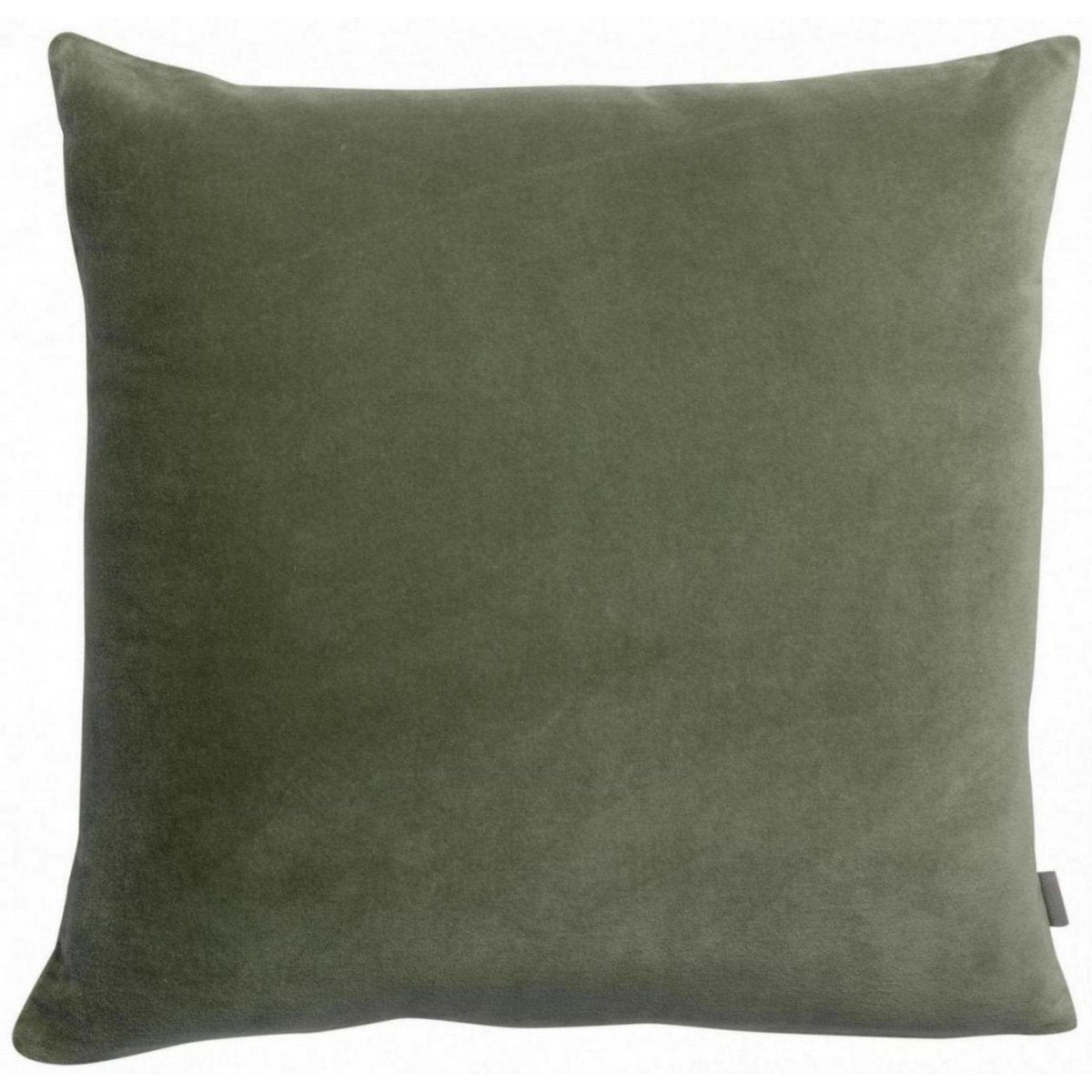 Coussin en velours de coton Elise, couleur Verveine, 45 × 45 cm