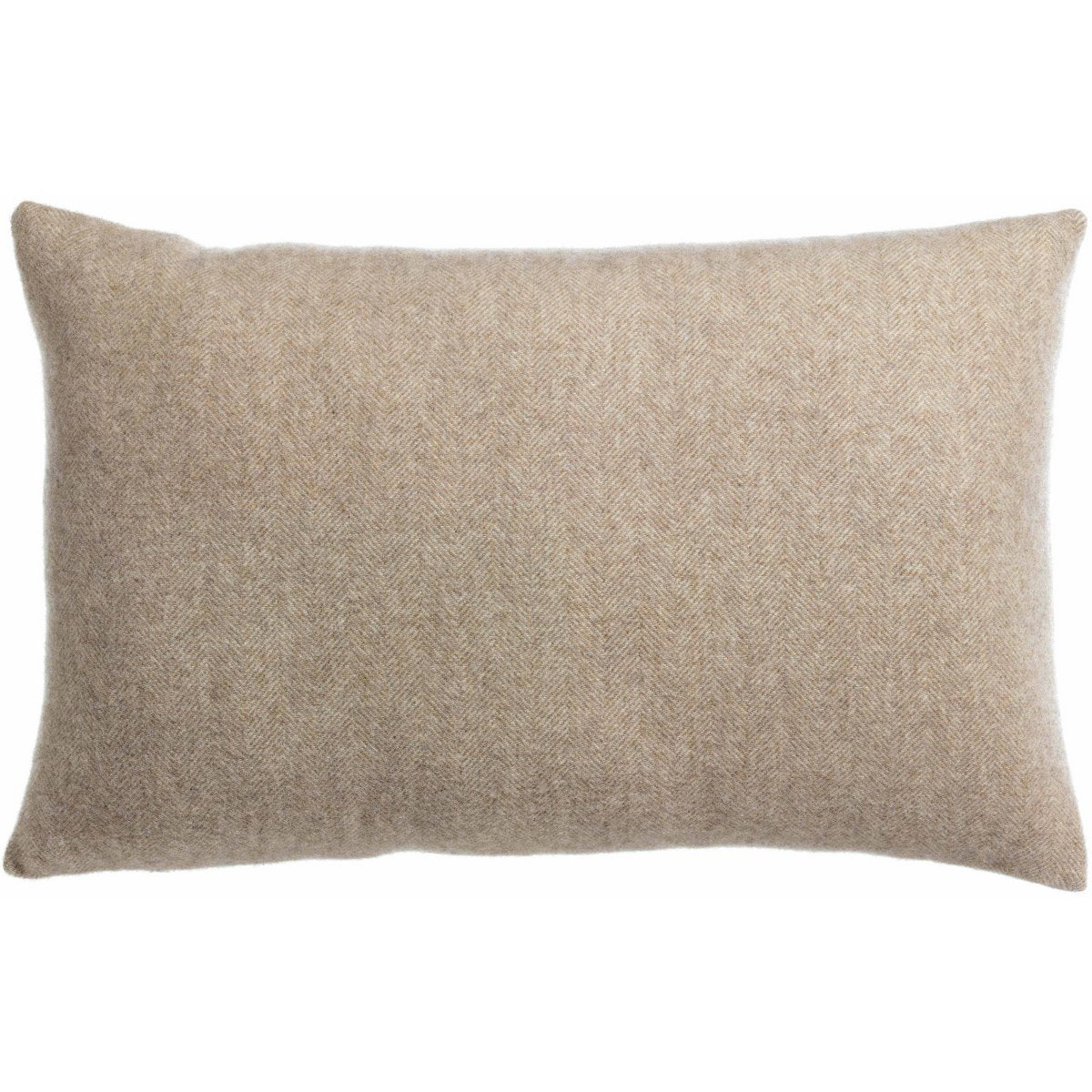 Carina cushion in cloud, 40×65 cm